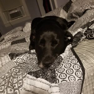 Meet your Posher, Crystal